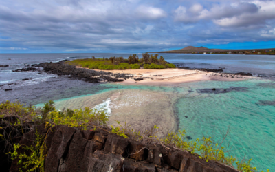 5 reasons to visit the Galapagos Islands at least once in your lifetime.